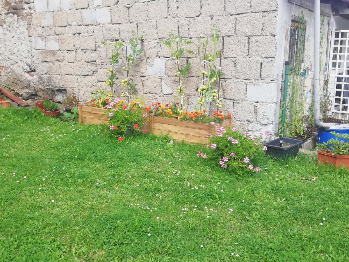 Apartman Petra Kovářská Exteriér fotografie